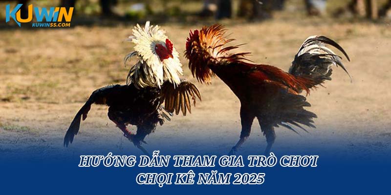Hướng dẫn tham gia trò chơi chọi kê năm 2025